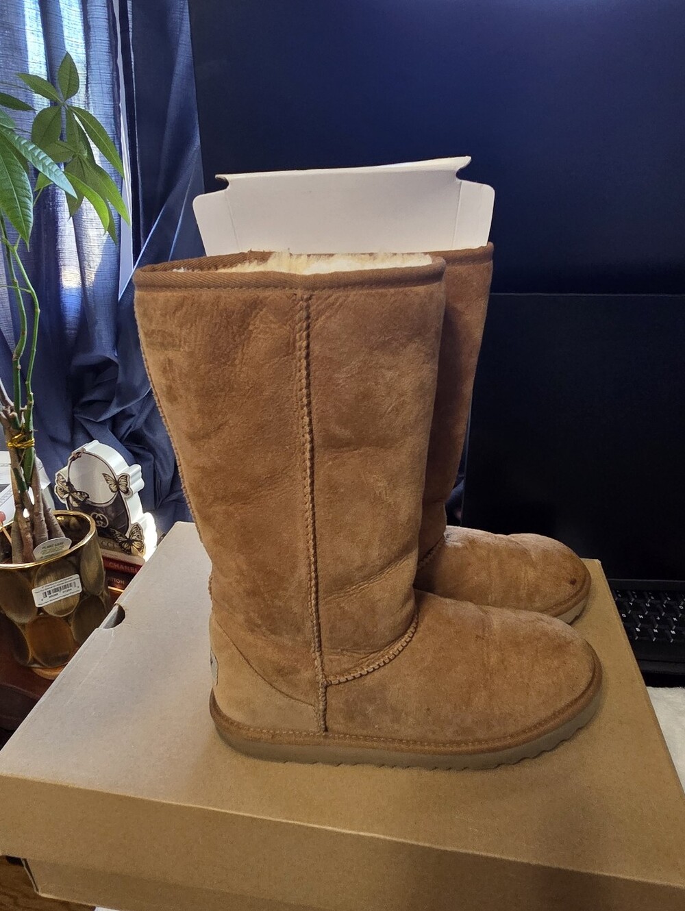 UGG Big Kids' Classic Tall Il Boot, Size: US 6. Will Fit Women Size 8.5-9